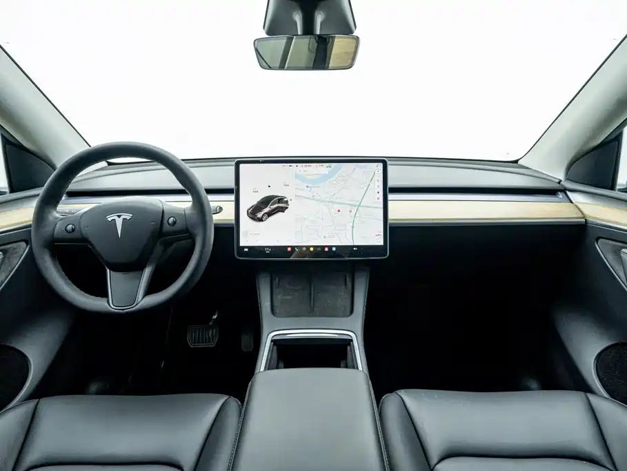 Tesla Model Y — миниатюра 20