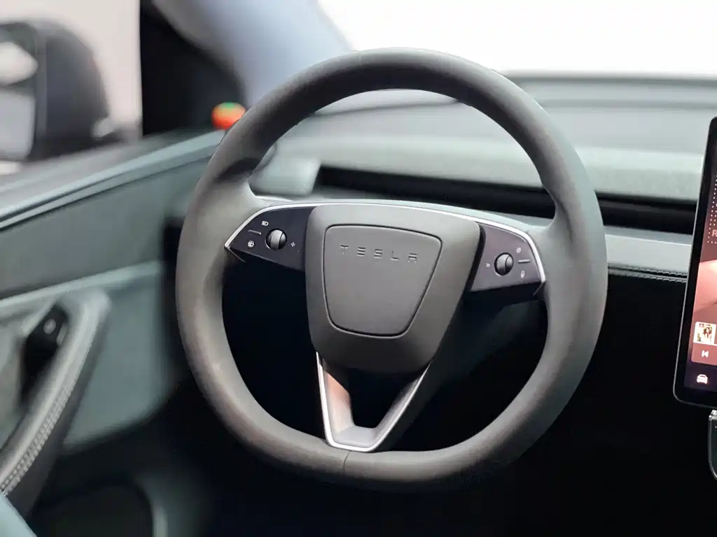 Tesla Model Y — миниатюра 11