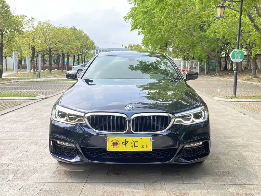 BMW 5 Series 5 2018 530Li Premium M Sport