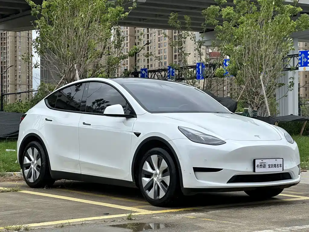 Tesla Model Y — миниатюра 3