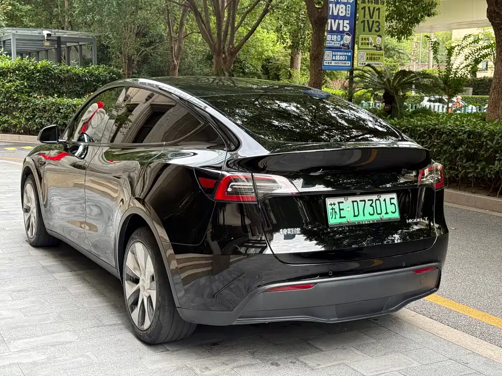 Tesla Model Y — миниатюра 5