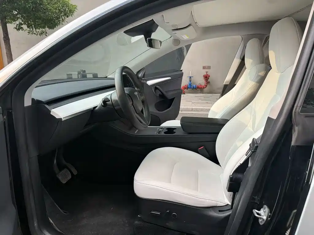 Tesla Model Y — миниатюра 7