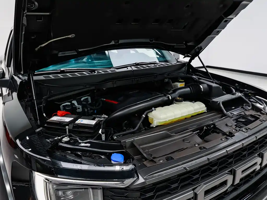 Ford F-150 Raptor — миниатюра 22