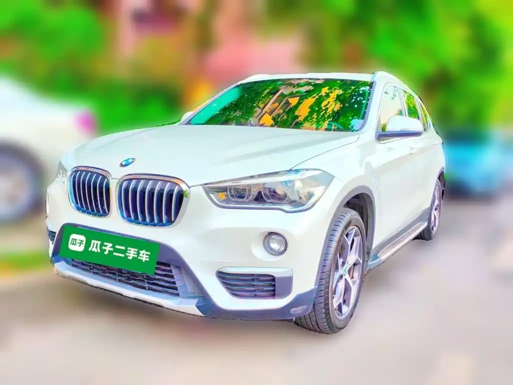 BMW X1 — миниатюра 2