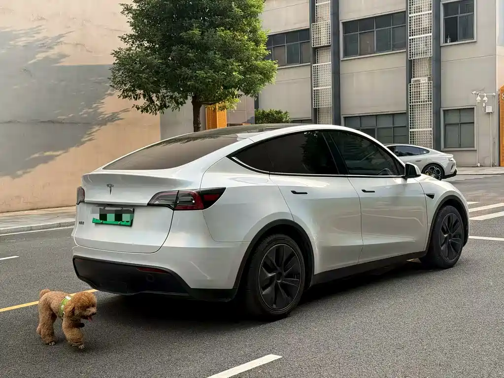 Tesla Model Y — миниатюра 2