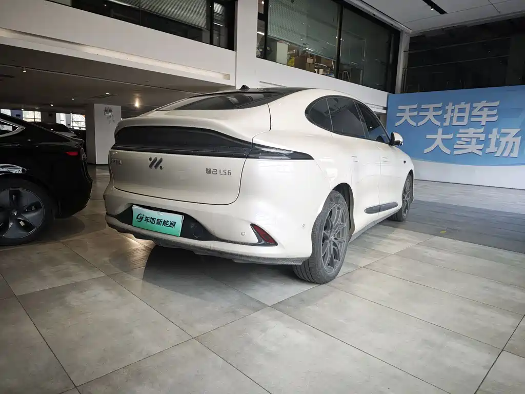 ZHIJI AUTOMOBILE ZHIJI LS6
