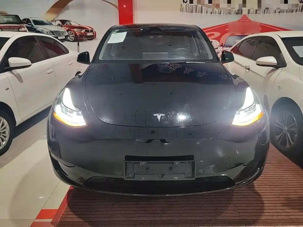 Tesla Model Y — миниатюра 3
