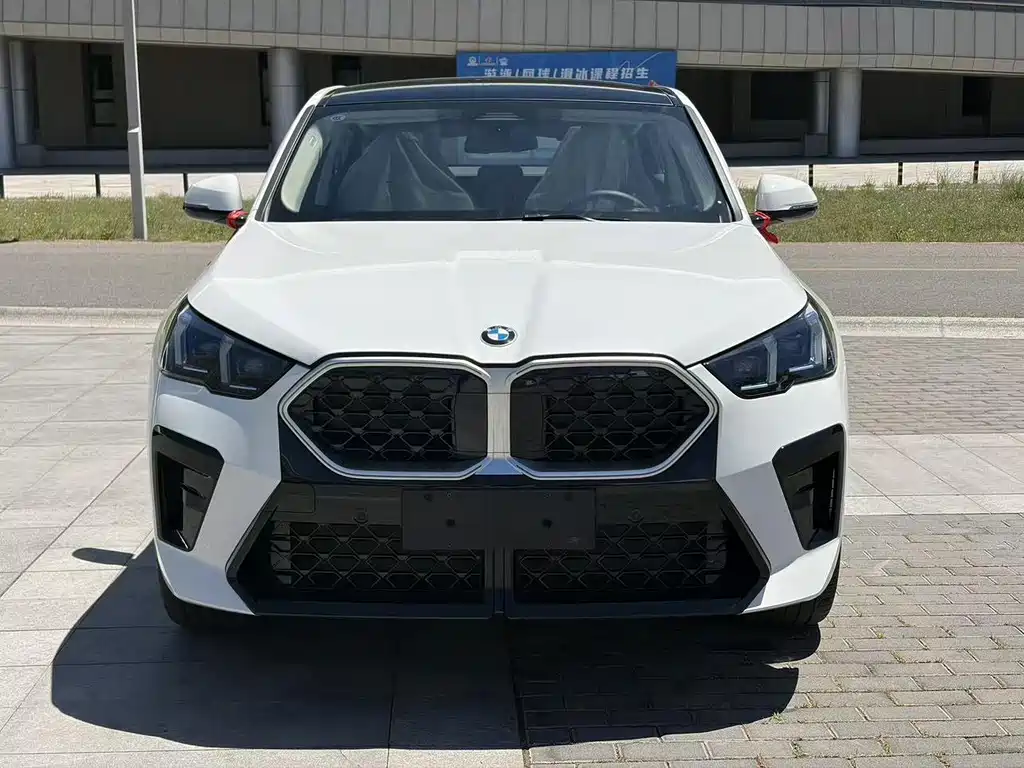 BMW X2 (Import) — миниатюра 3