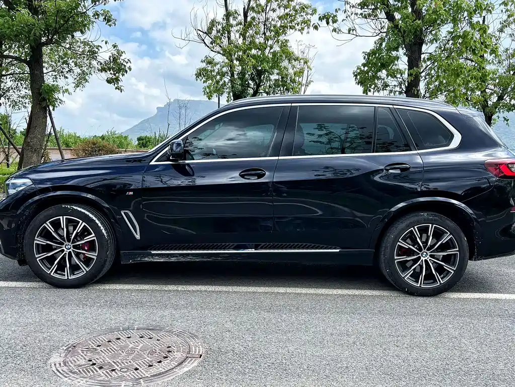 BMW X5 — миниатюра 3