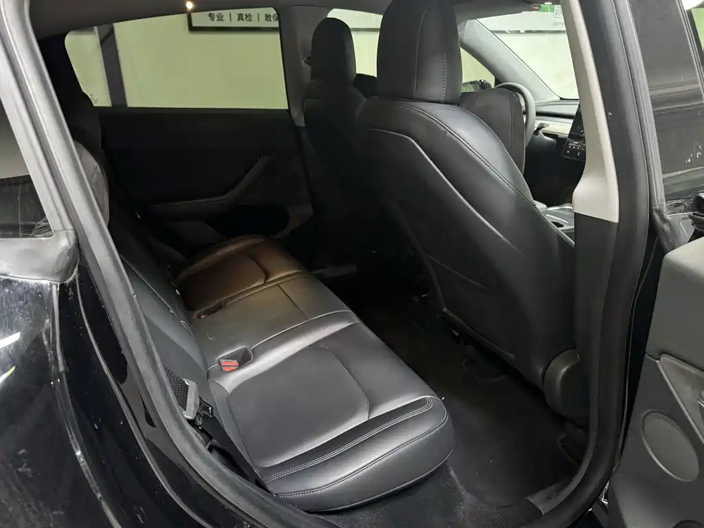 Tesla Model Y — миниатюра 14