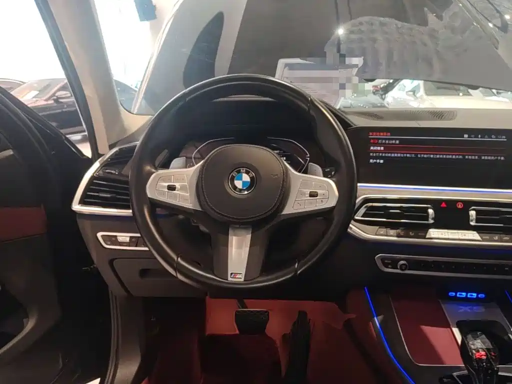 BMW X5 — миниатюра 11