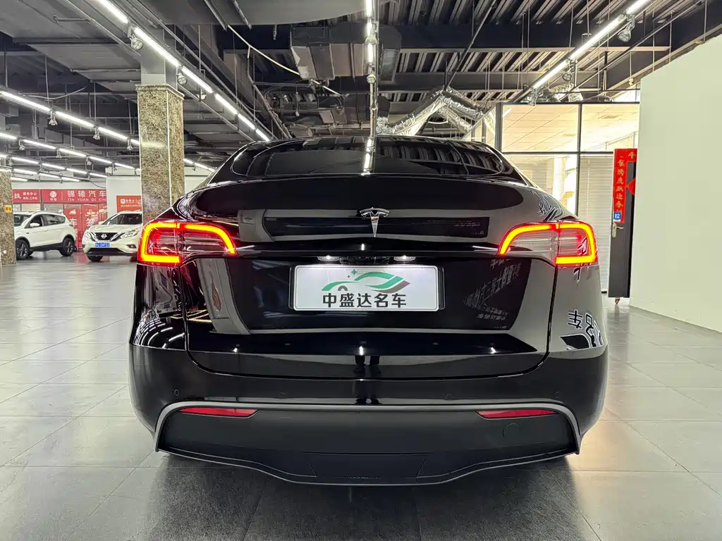 Tesla Model Y — миниатюра 5