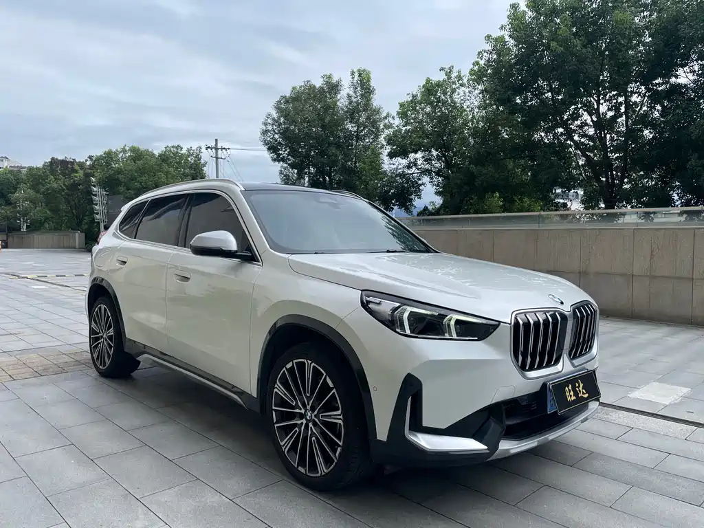 BMW X1 2023 xDrive25Li X