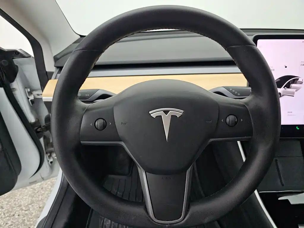Tesla Model 3 — миниатюра 9