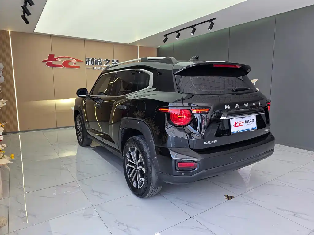 Haval Big Dog PLUS — миниатюра 6