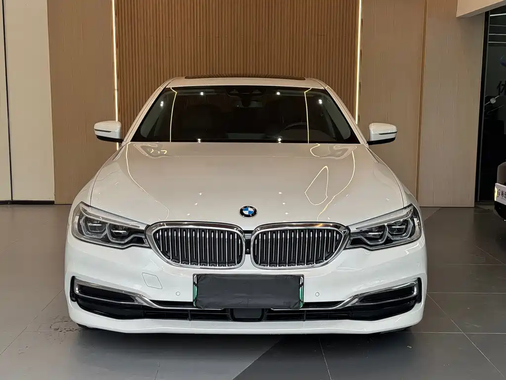 BMW 5 Series New Energy — миниатюра 2