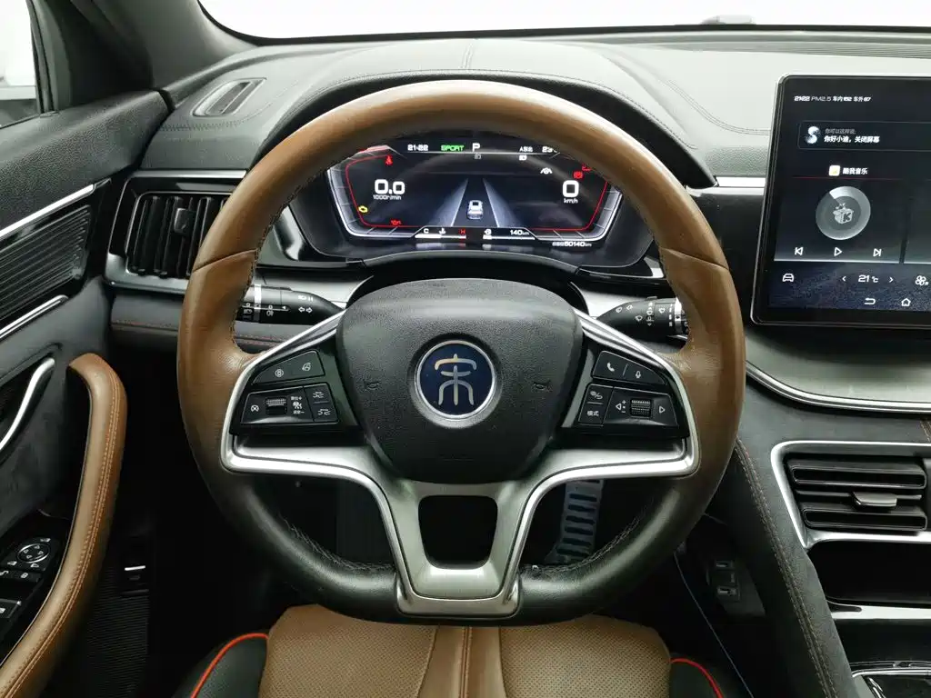 BYD PLUS — миниатюра 11