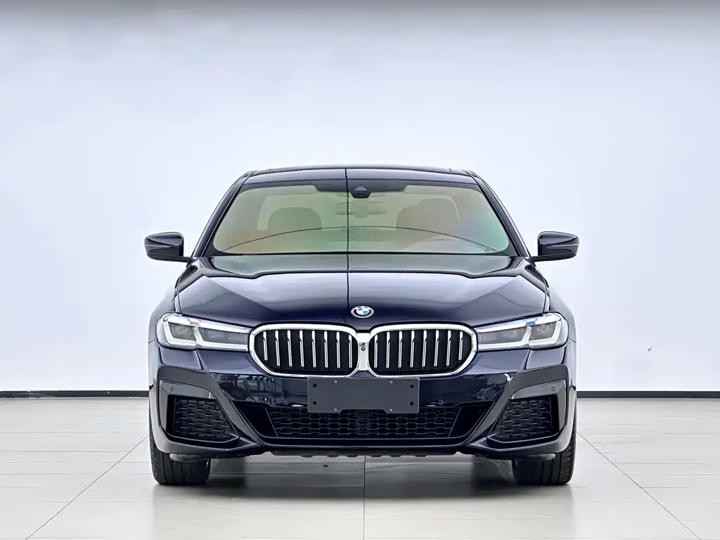 BMW 5 Series — миниатюра 2