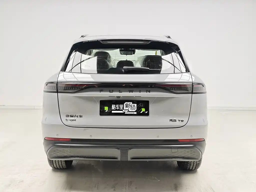 Fulwin Fengyun T9 — миниатюра 5