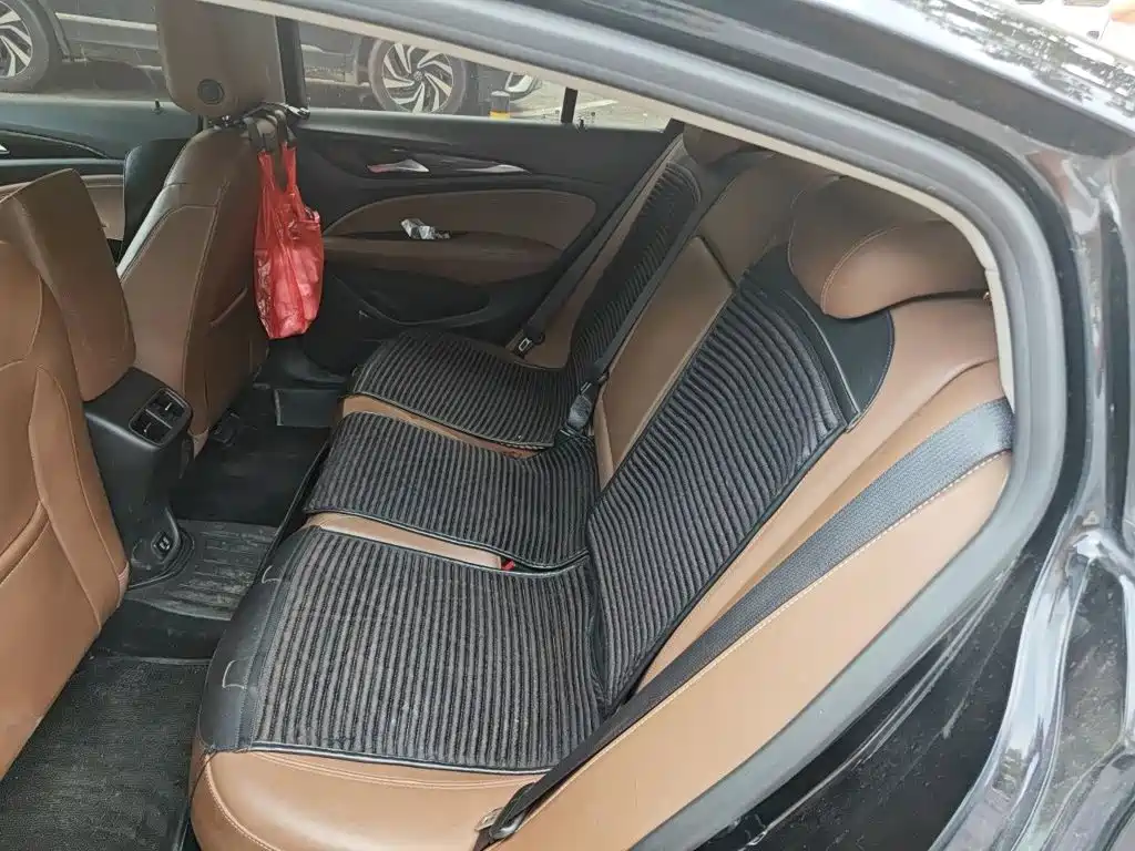 Buick Regal — миниатюра 18