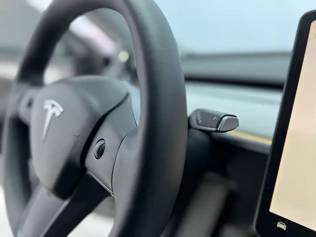 Tesla Model Y — миниатюра 13