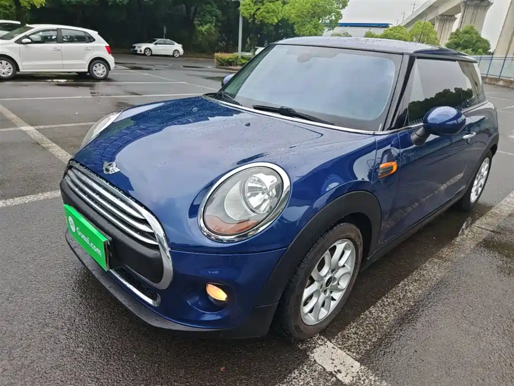 Mini Mini 2015