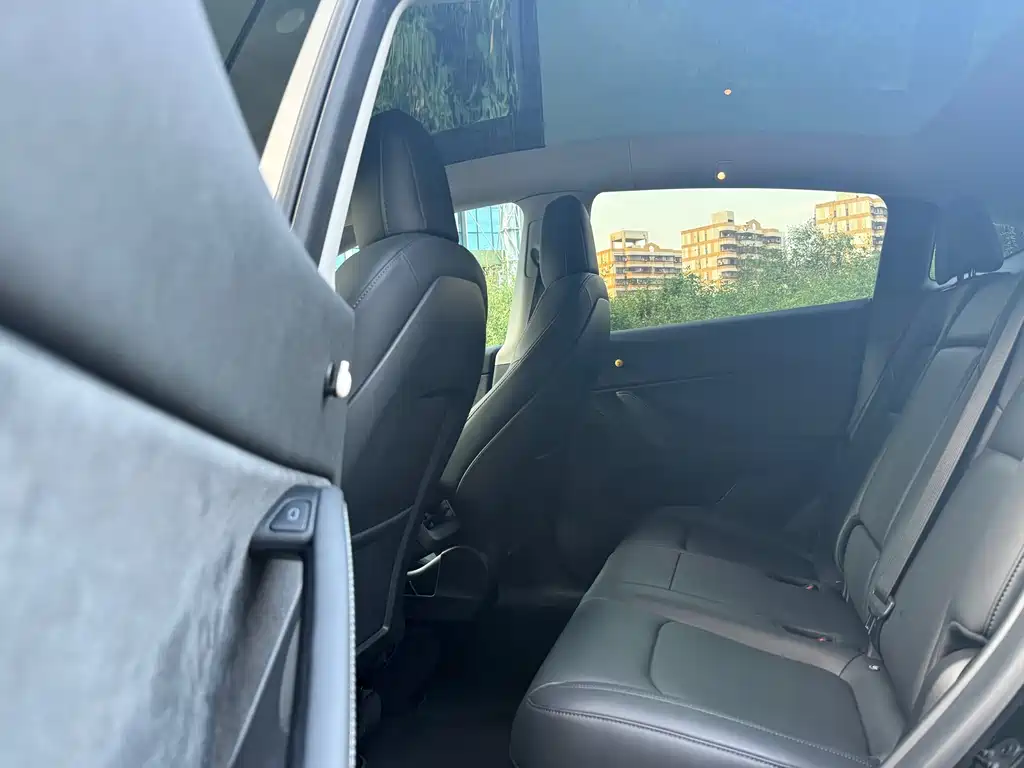 Tesla Model Y — миниатюра 8
