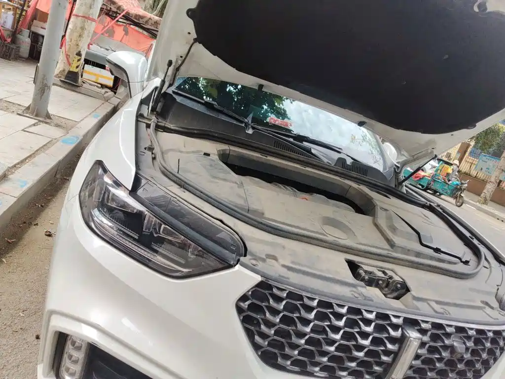 Wey Wey VV5 — миниатюра 20