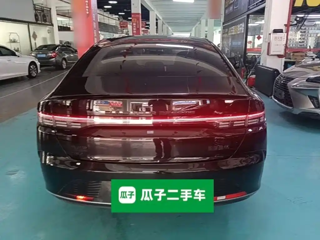 BYD Destroyer 05 2024 DM-i 55KM Luxury