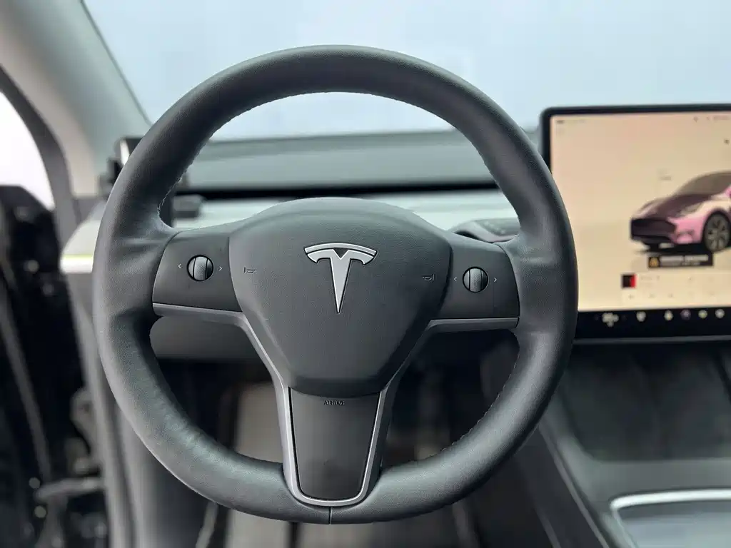 Tesla Model Y — миниатюра 12