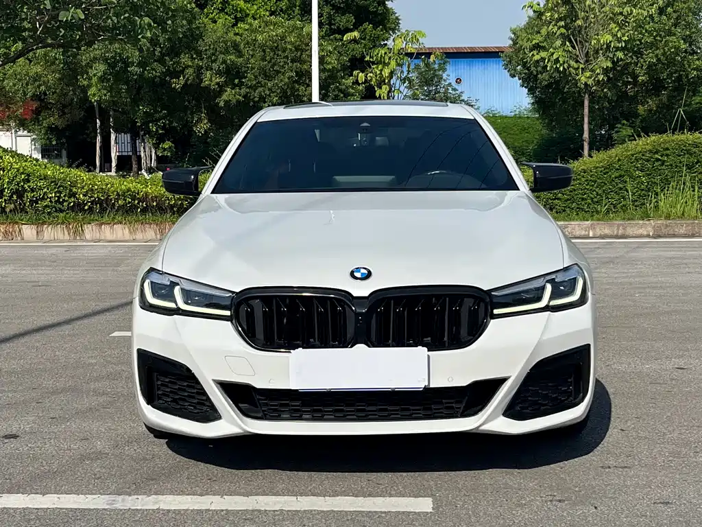 BMW 5 Series — миниатюра 2