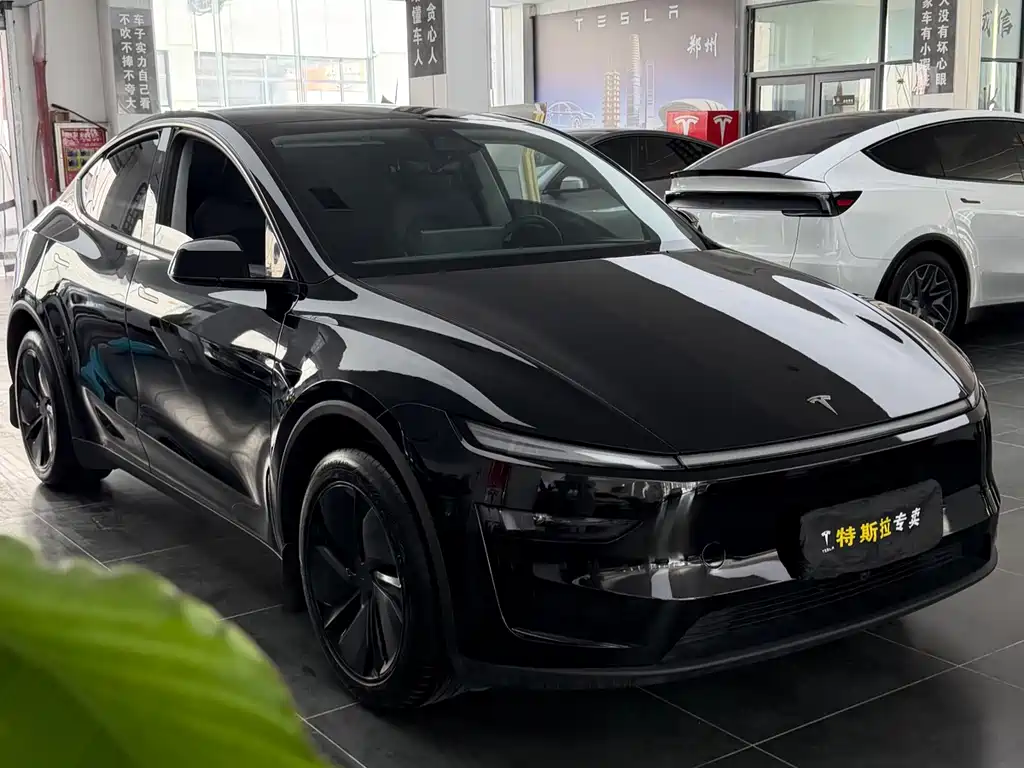 Tesla Model Y — миниатюра 3