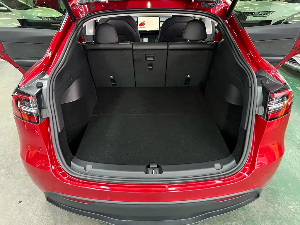 Tesla Model Y — миниатюра 16