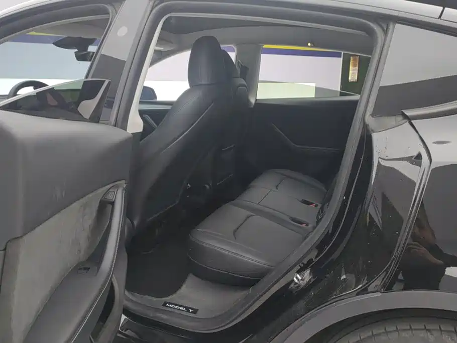 Tesla Model Y — миниатюра 11