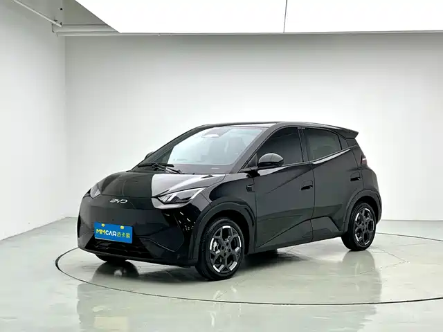 BYD 海鸥