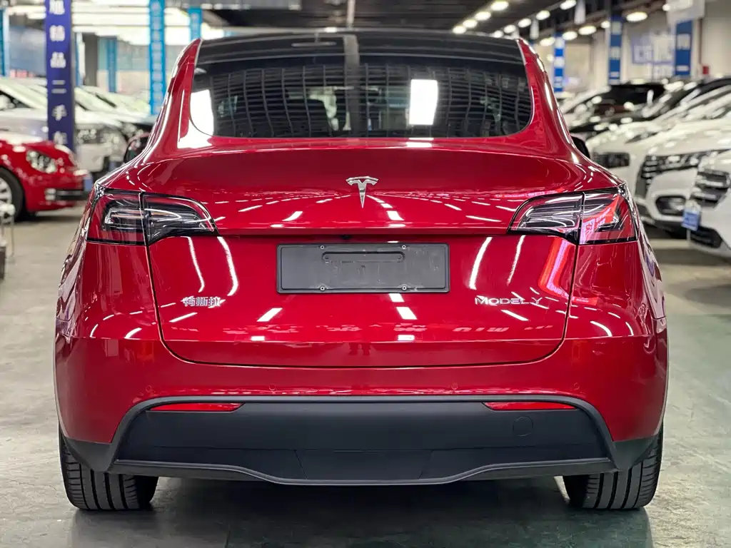 Tesla Model Y — миниатюра 4