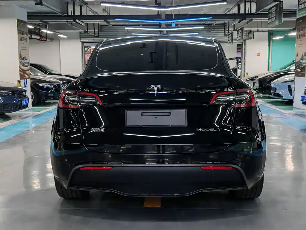 Tesla Model Y — миниатюра 13