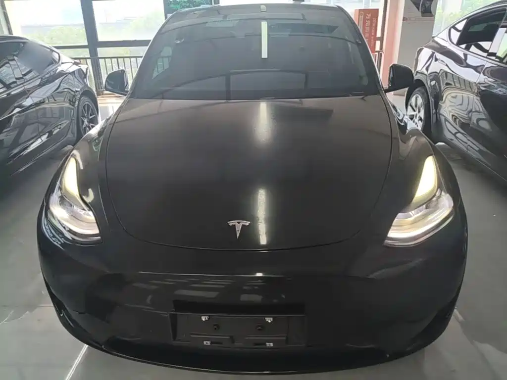 Tesla Model Y — миниатюра 3