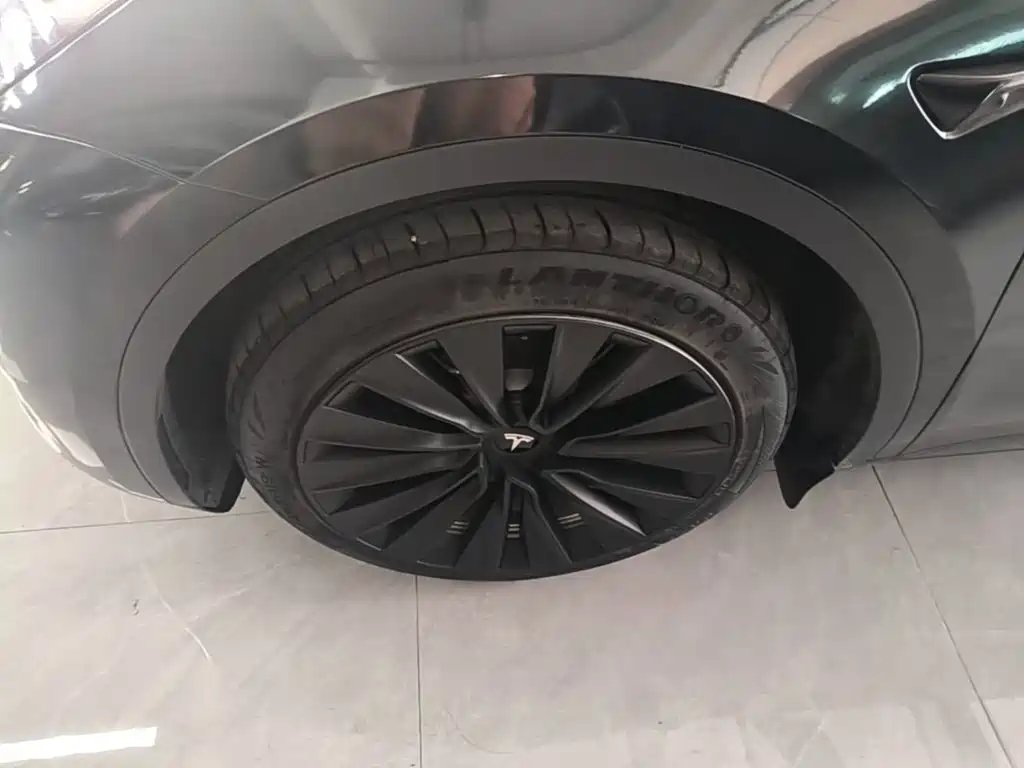 Tesla Model Y — миниатюра 23