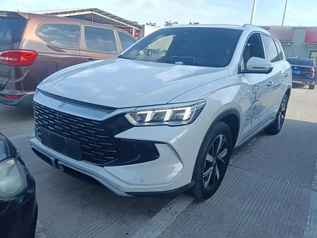 BYD Pro New Energy