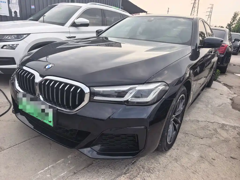 BMW 5 Series New Energy 2021