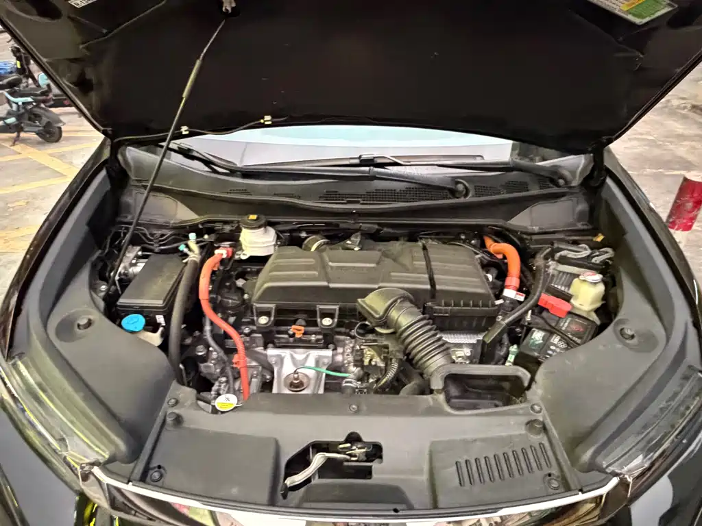 Honda Elysion — миниатюра 16