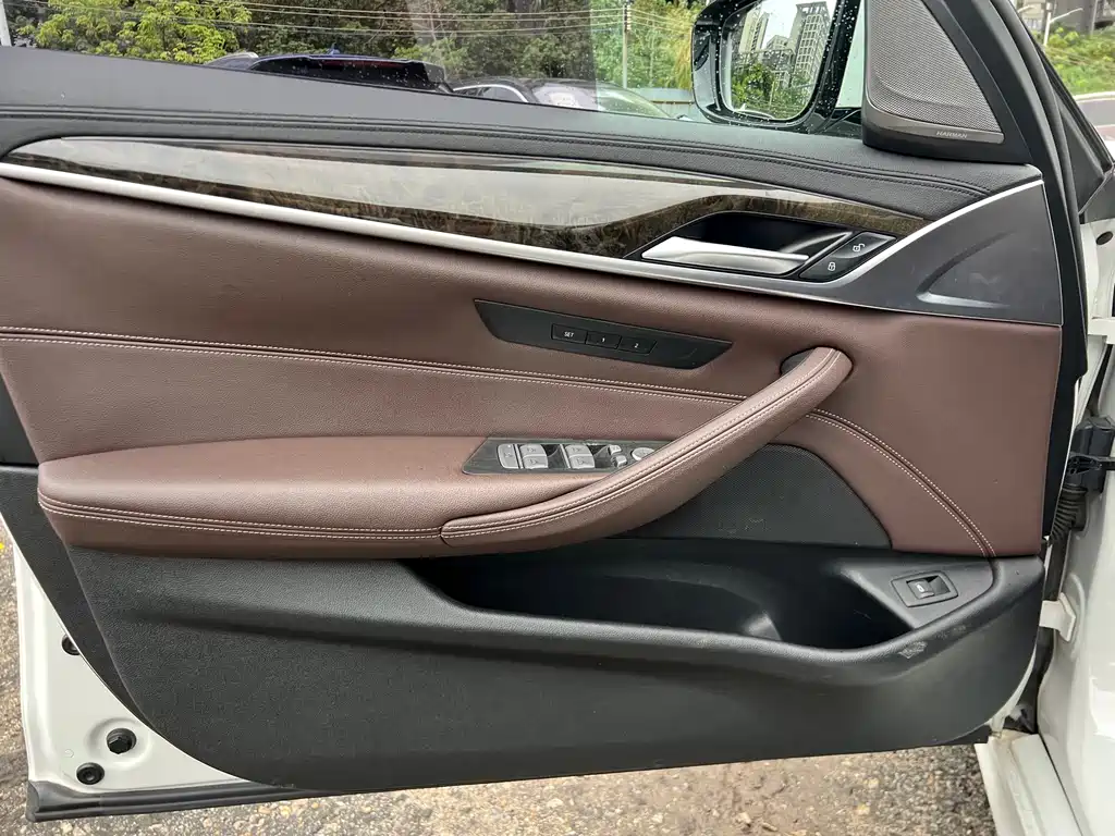 BMW 5 Series 5 2019 525Li M Sport