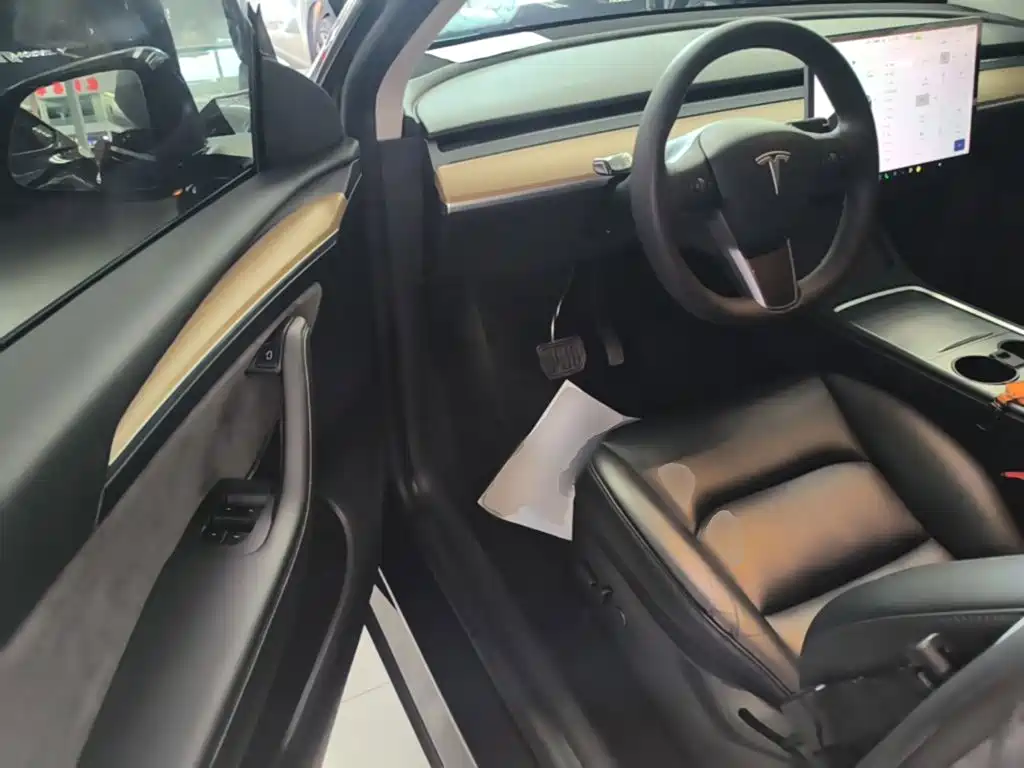 Tesla Model Y — миниатюра 16