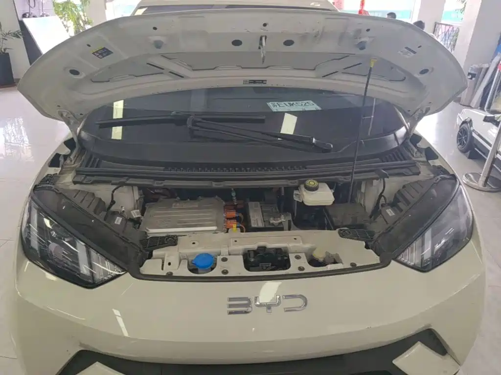 BYD Seagull — миниатюра 20