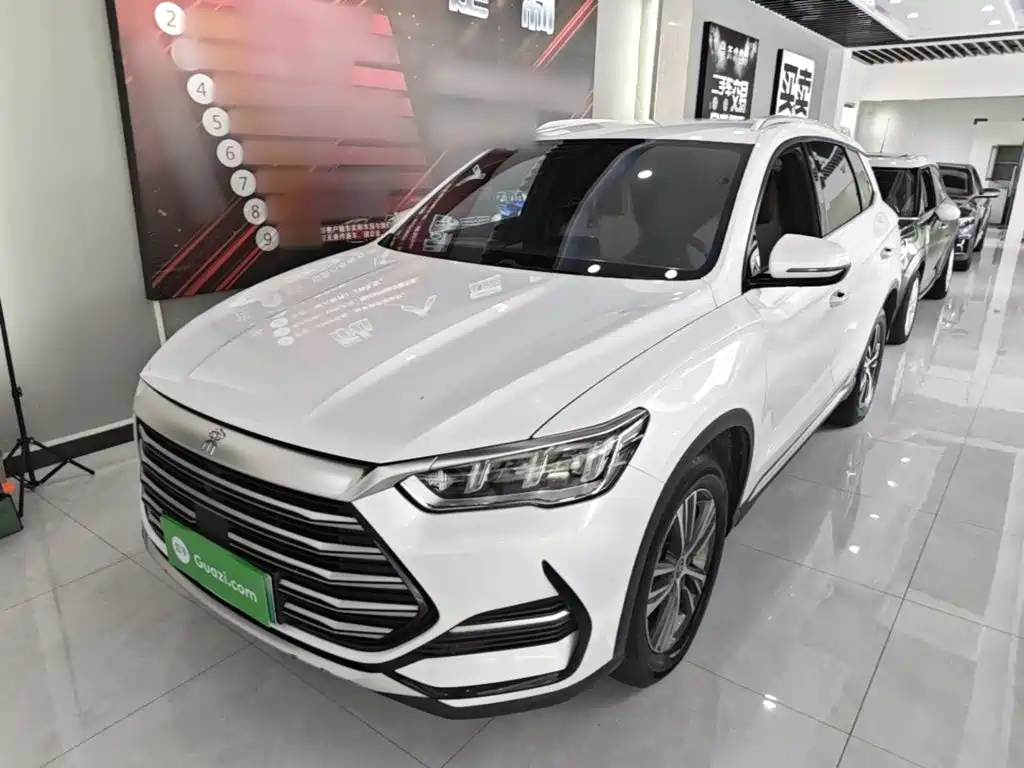 BYD Pro New Energy — миниатюра 2
