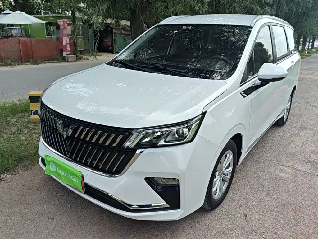 Wuling Jiachen — миниатюра 2