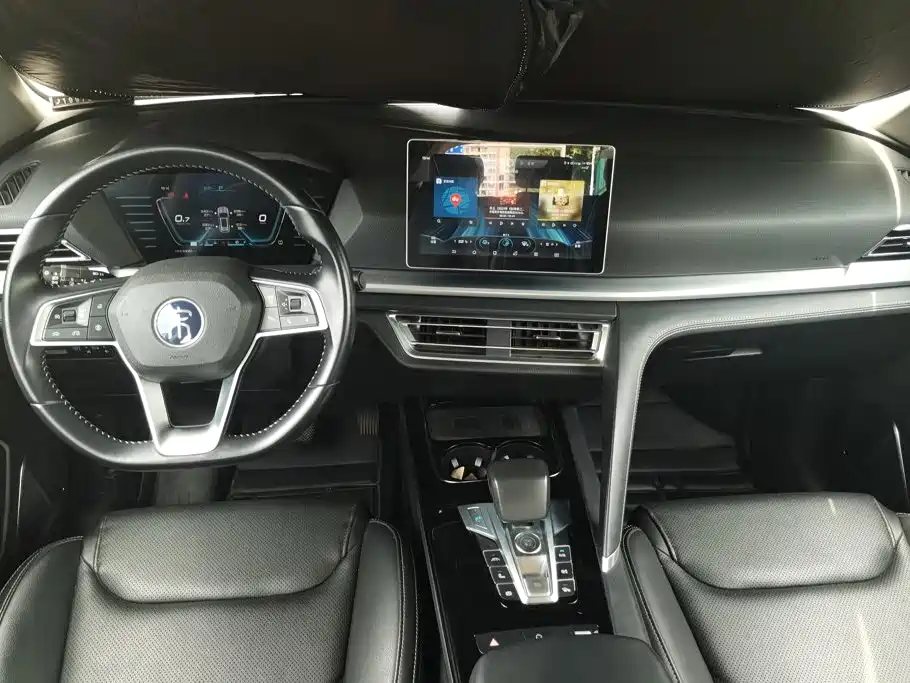 BYD Pro — миниатюра 12