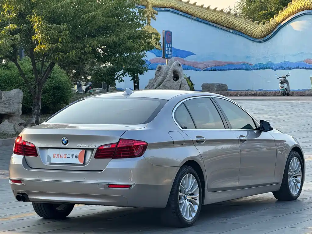 BMW 5 Series — миниатюра 5