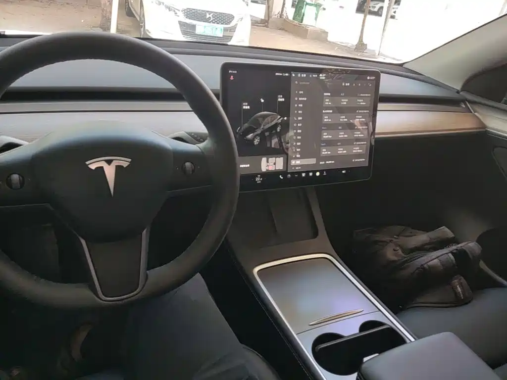 Tesla Model Y — миниатюра 10